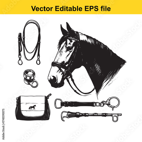 Vector art of collection of equestrian equipment including a horse head sketch, bridle, reins, bit, and a small saddle bag