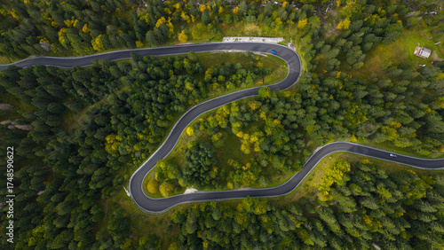 driving road, twisty curved in forest. Corners and turns. Driving paradise.