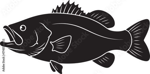 fish vector illustration