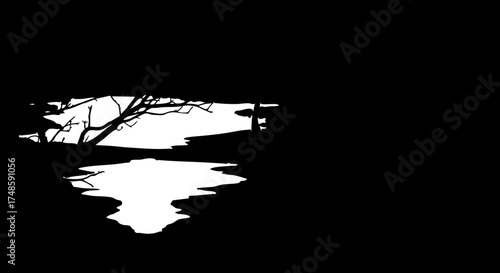 Eerie silhouette of bare branches reflected in dark water, evoking mystery and isolation for dramatic storytelling.