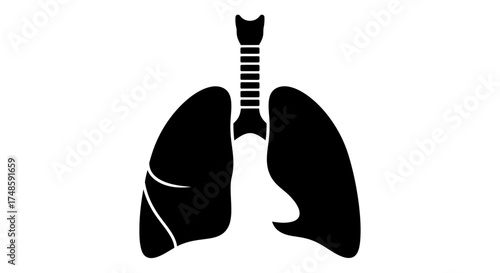 Lungs Icon Vector – Human Respiratory System Silhouette Design