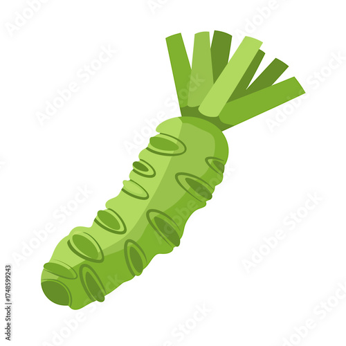 Fresh Wasabi Root Illustration with Green Stems on a White Background Perfect for Culinary or Ingredient Designs and Presentations