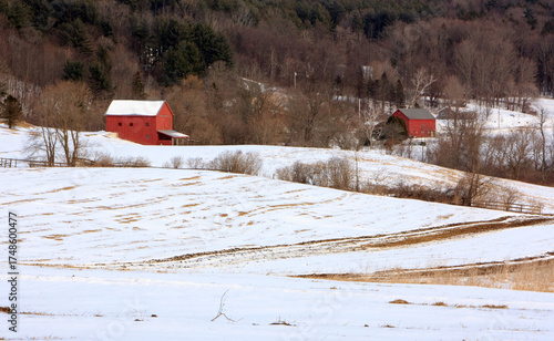 A couple of red barns stands in a snowy field against a forest background on a winter day in Tyringham, Massachusetts