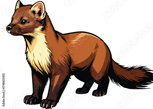 closeup-shot-european-pine-marten-with-wintery-landscape-background illustration