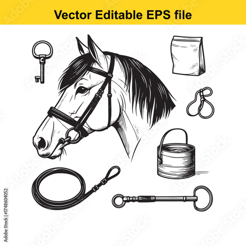 Vector art of equestrian portrait featuring a horse head with bridle, surrounded by horse tack and supplies like a bucket and feed bag