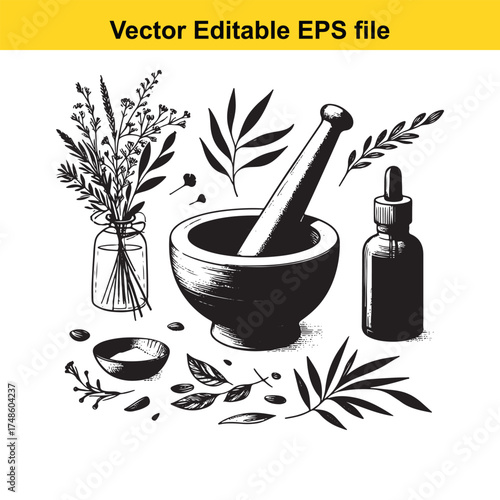 Vector art of herbal medicine preparation with mortar and pestle, botanical elements, and essential oil bottle