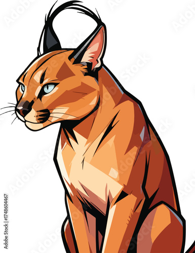 high-angle-view-animal illustration