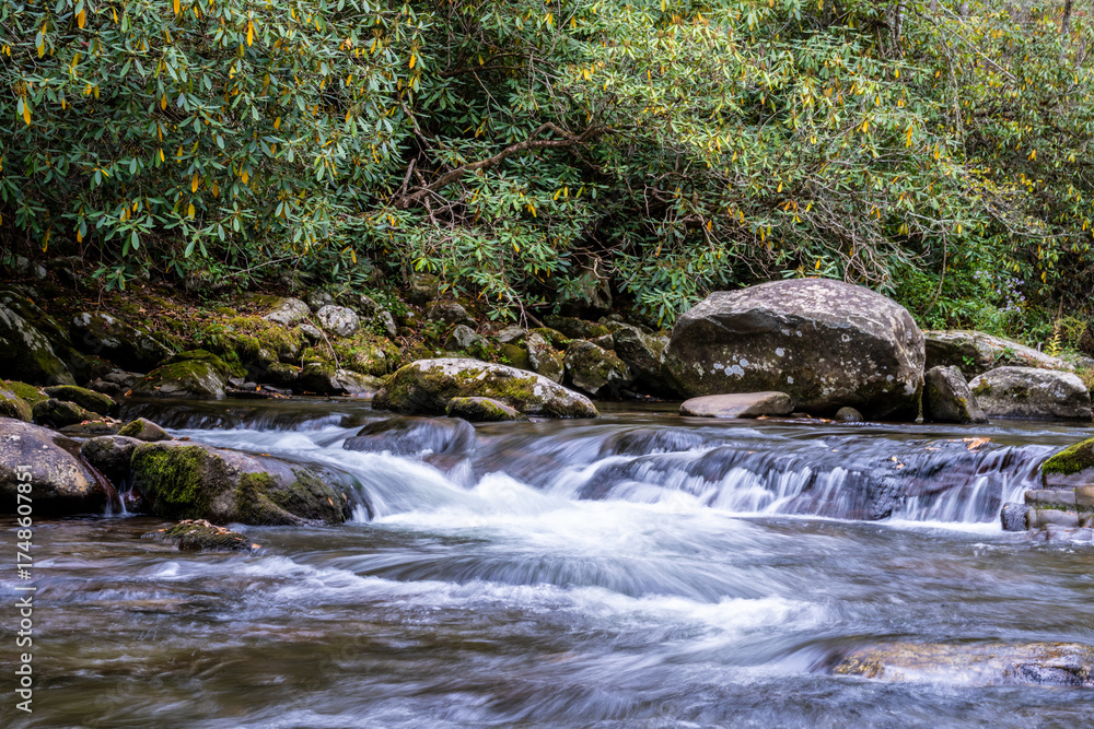 Fototapeta premium Smoky Mountain Stream
