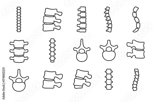 Vector icons of human spine and vertebrae in various styles and perspectives