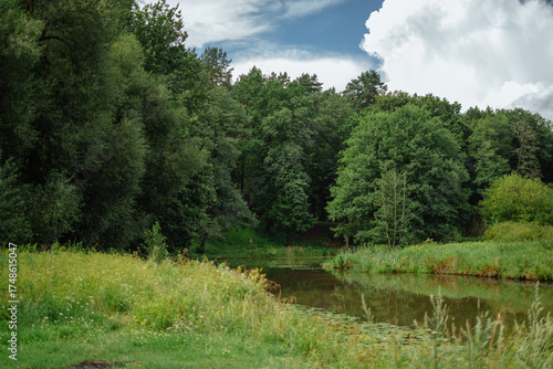 lake in the forest