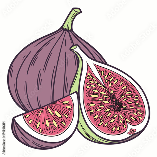 naples fig on white background 