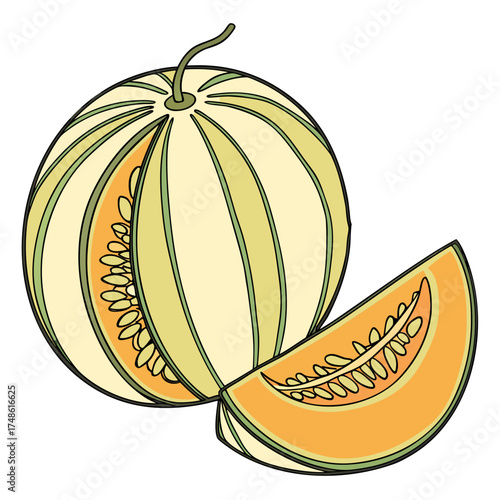 muskmelon vector