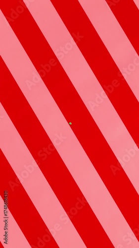 Unwrapping gift revealing a green screen - Stop Motion Animation - Green bow on red and pink Christmas wrapping paper. Vertical Screen Orientation Video