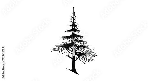 Stylized evergreen tree with delicate branches reaching towards the sky