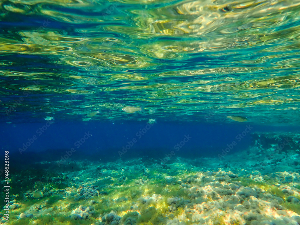 Fototapeta premium Ocean blue underwater with sunrays, Underwater Sea Deep Water Abstract Sunshine, sea wave , clean waters in summer time, Natural underwater seascape, sand on ocean floor and water surface with sunligh
