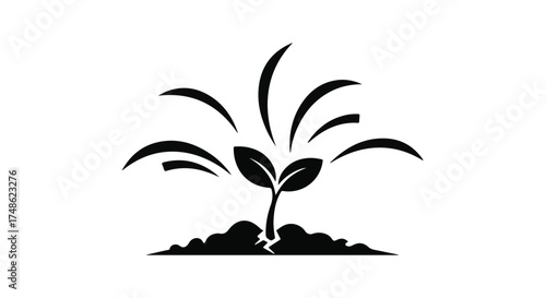 New growth emerges from the earth, symbolizing hope and new beginnings.