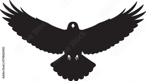 Black silhouette of a bird of prey with wings spread wide in flight on a white background eagle hawk white background and transparent background