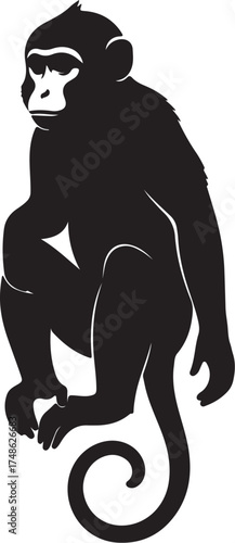 Silhouette of a monkey crouching with a curled tail on a white background animal primate white background and transparent background