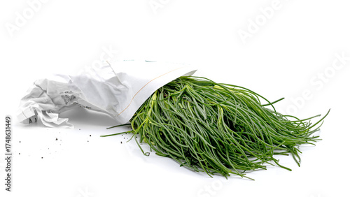 Obraz na plátně Fresh Italian Agretti, also known as opposite-leaved saltwort, friar’s beard, or barilla plant