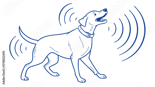 Canine Communication in a Playful Environment