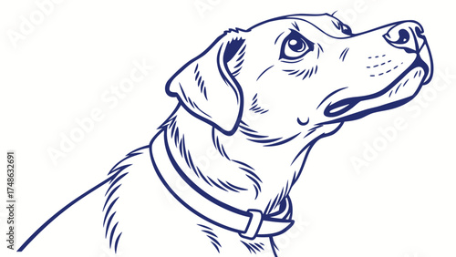 Illustration of a Playful Dog Lying on Its Back, Animal Art, Graphic Design, Cheerful Environment, Blue Line Style