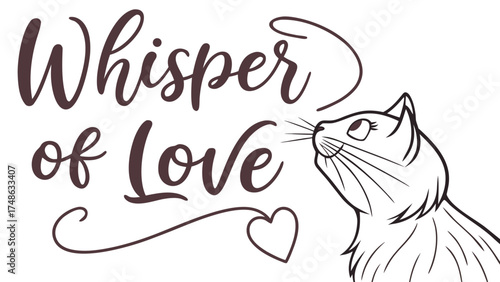 Peaceful Cat Gazing at Stars, Window Frame, Illustrative Art, Cozy Home Environment, Whimsical Viewpoint