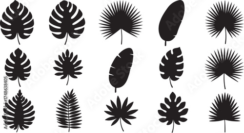 Tropical Leaf Silhouettes Vector Set – Monstera, Palm, Banana, and Exotic Leaves