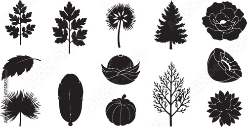 Botanical Silhouette Vector Set – Leaves, Flowers, Trees, and Nature Elements.