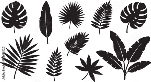Tropical Leaf Silhouettes Vector Set – Monstera, Palm, Banana, and Exotic Leaves