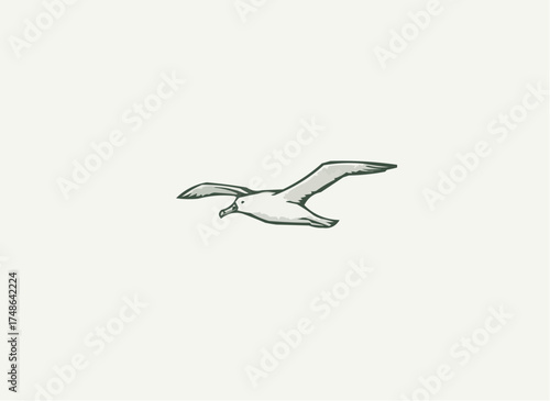 Graceful albatross soars effortlessly, evoking freedom and adventure, perfect for travel posters or nature documentaries with its clean, minimalist style