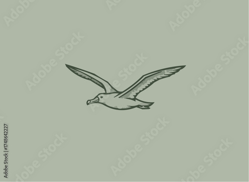 Elegant albatross soars freely, representing freedom and travel, perfect for logos, branding, and adventure themes, a symbol of resilience and exploration