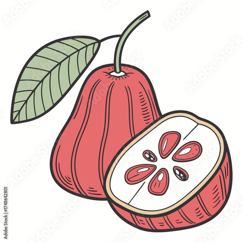 malay rose apple with leaf