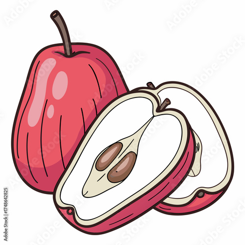 malay rose apple on white background 