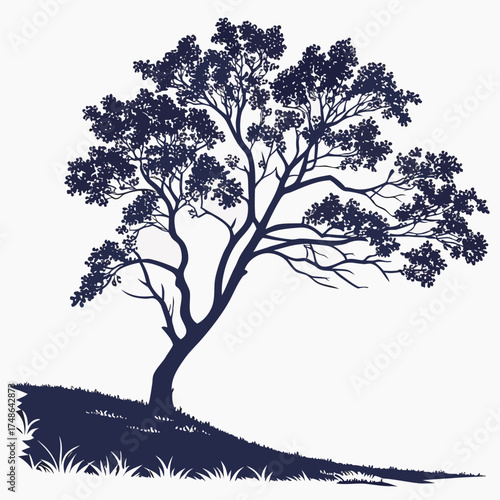  malabar plum tree on white background 