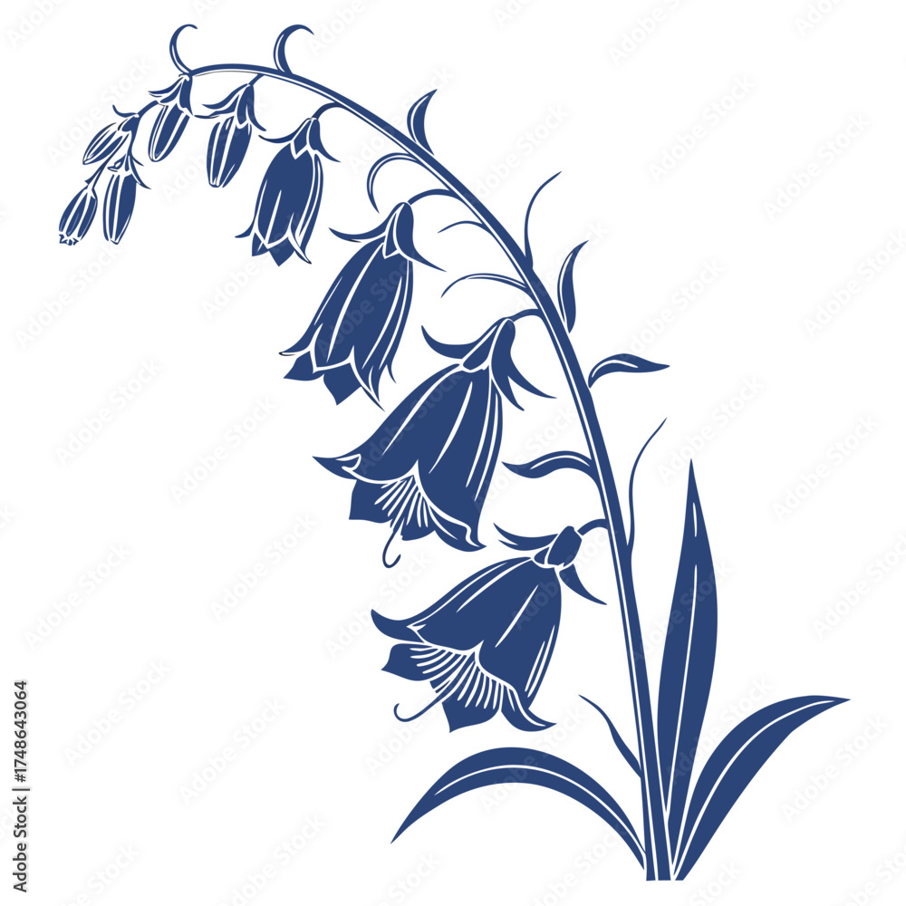 Fototapeta premium foxglove blue flower with leaves