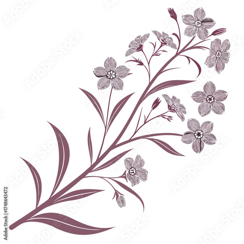 forget me not pink flowers vector