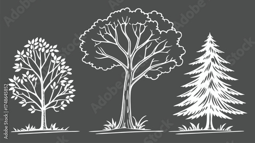 CAD Tree Line Minimal Style Vector Set of Outline Tree Symbols for Architecture and Landscape Design Drawing