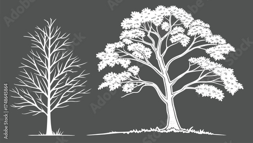 CAD Tree Line Minimal Style Vector Set of Outline Tree Symbols for Architecture and Landscape Design Drawing