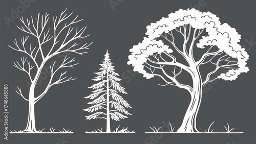 CAD Tree Line Minimal Style Vector Set of Outline Tree Symbols for Architecture and Landscape Design Drawing