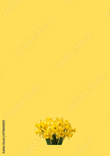 planner, planner with a picture, colored planner, notebook sheet