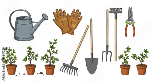Gardening tools and plants for planting and watering in a garden