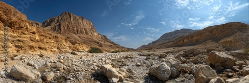 Stunning Israel Wilderness: A Panoramic View of the Dry OG Riverbed near the Dead Sea Embodying Desert Landscape and Sunlit Mountains