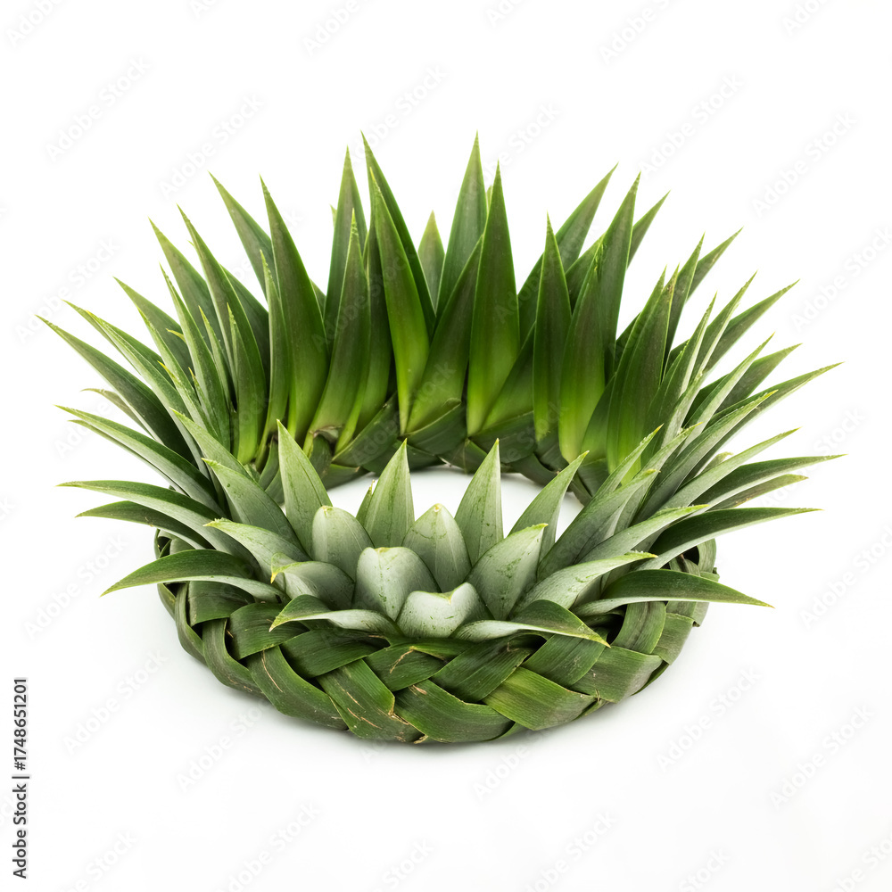 Fototapeta premium Woven Pineapple Crown Made from Natural Green Leaves Isolated on White