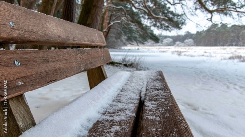 Wallpaper Mural Silent wintry landscape envelopes a snow-dusted bench, evoking Yule reveries and contemplative solitude under whispering pines Torontodigital.ca