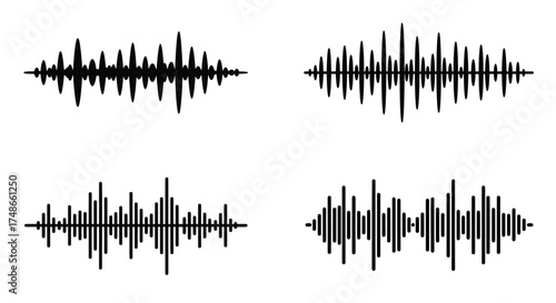 Simple black and white illustration of leaves with differing vein structures