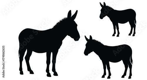 Simple black silhouettes of three donkeys in a minimalist style