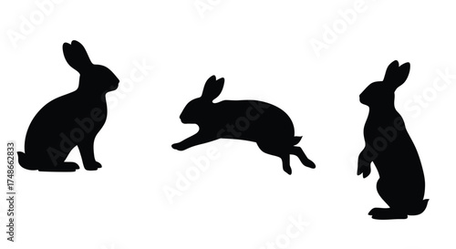 Three black silhouettes of rabbits in various poses on white background