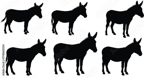 Silhouette collection of donkeys in various poses and perspectives shown