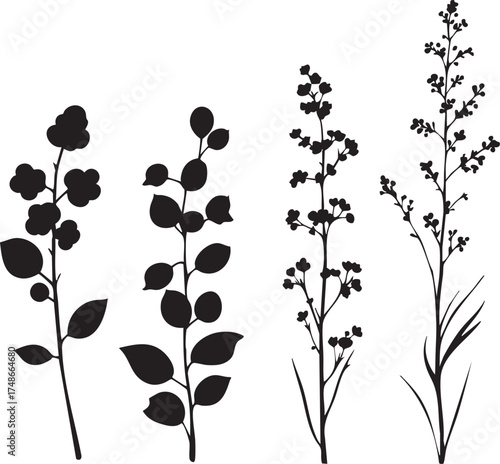 Botanical plant silhouette set—four black vector illustrations of floral stems and leaves in minimalist sketch style
