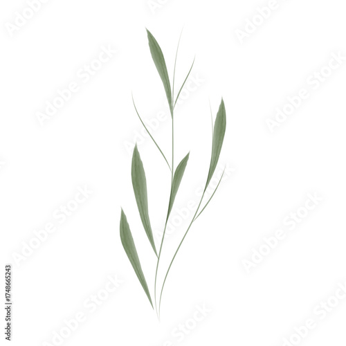 A delicate watercolor illustration showcases a single green flower stem. This vector graphic is ideal for environmental conservation infographics or design projects.